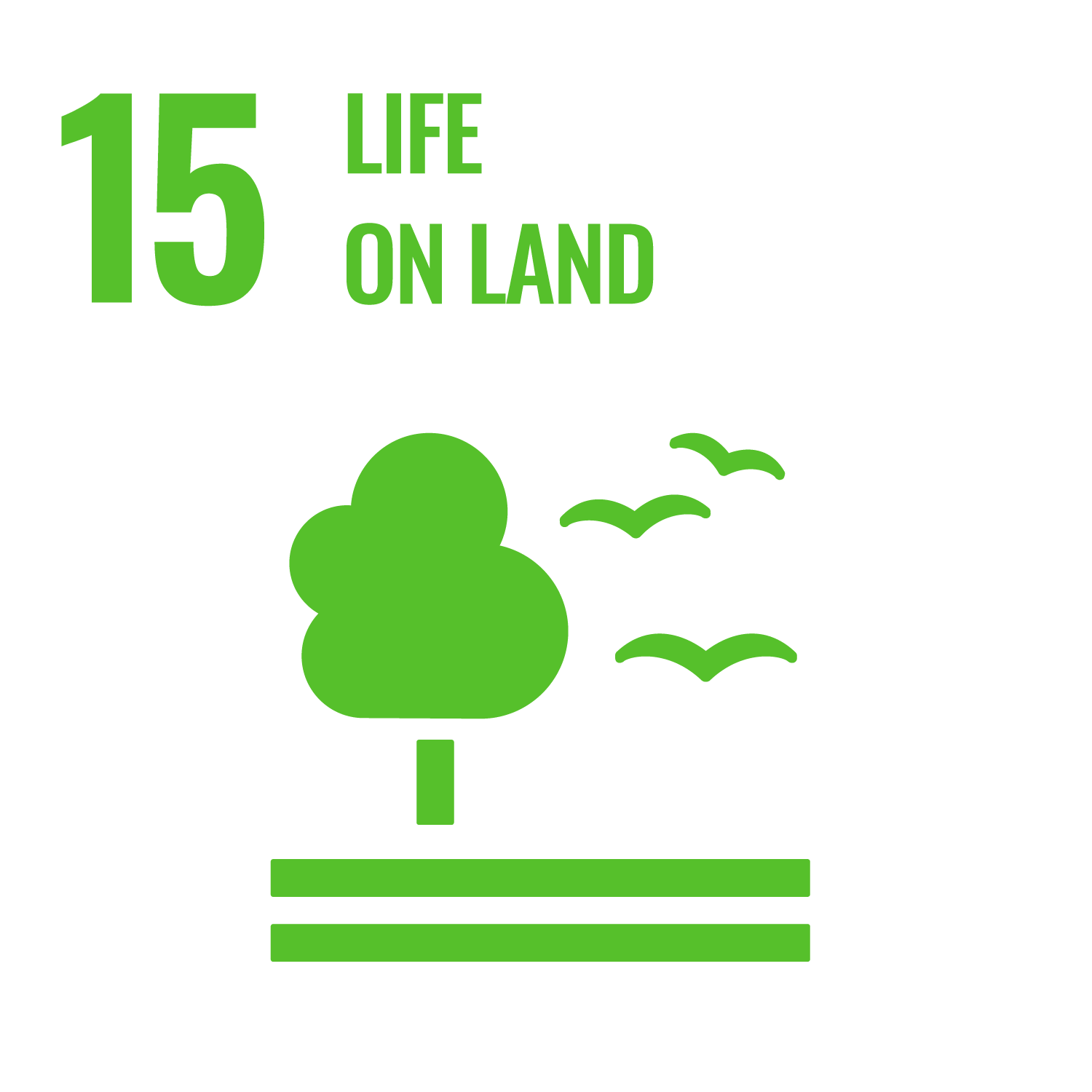 SDG 15: Life on land