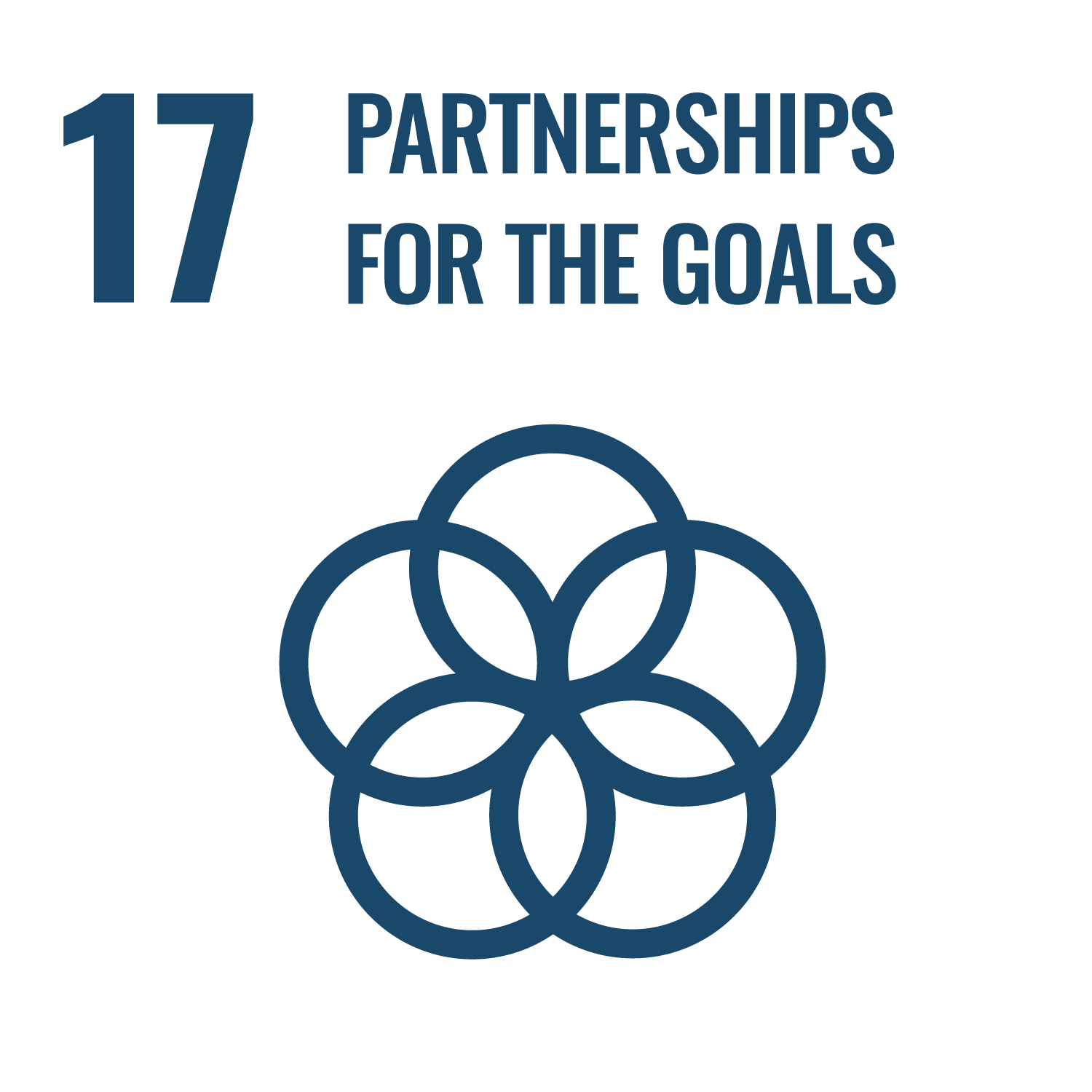 SDG 17: Partnership for the goals