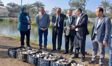 Launch of the Tilapia Harvest Season at the Open Fish Farms of the College of Agriculture in Moshtohor